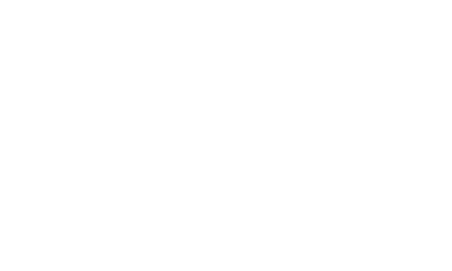 Virtual5
